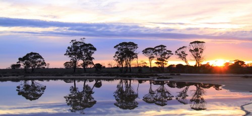 Lake Grace - Central Wheatbelt Visitor Centre